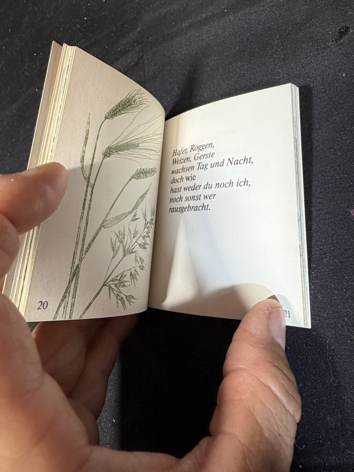 Vintage German Mini Books Love Poems Butterfly Blue Wings Lot