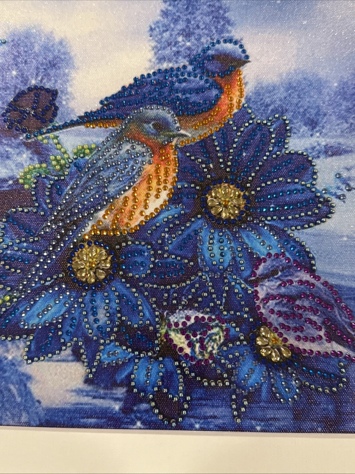 Framed Diamond Art Birds Blue Floral Sparkle Mosaic Wall Decor Home Art