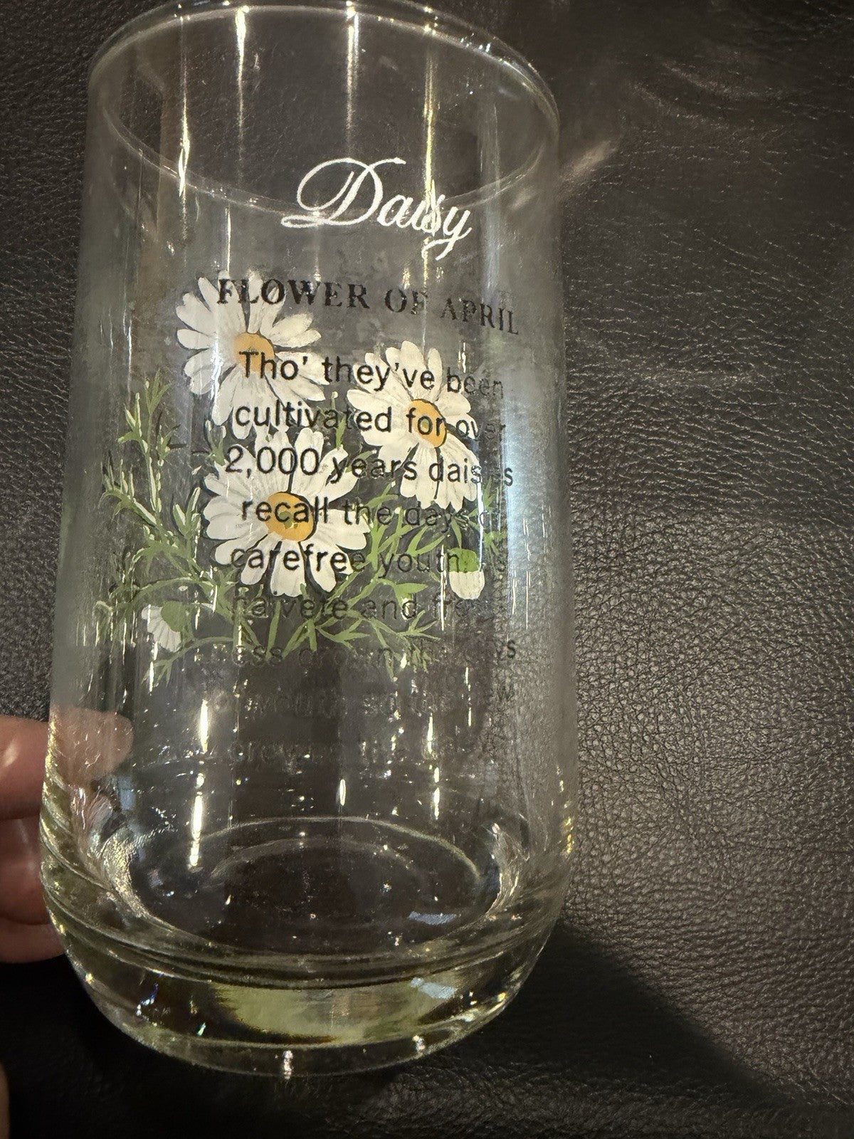 Vintage Daisy Flower of April Drinking Glasses Birth Month Floral Set of 2 Retro
