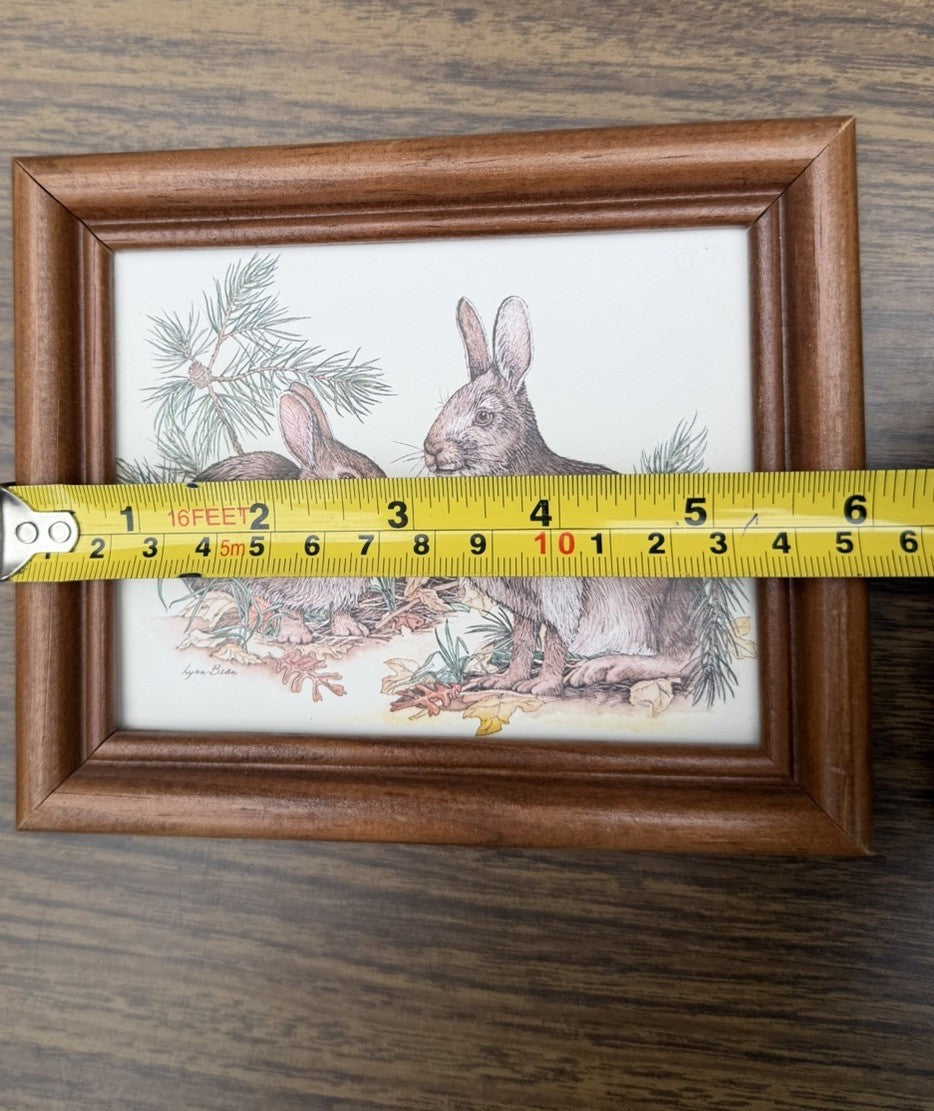 Lynn Bogue Hunt Rabbit Prints Framed Pair Cottontail Bunny Wildlife Art