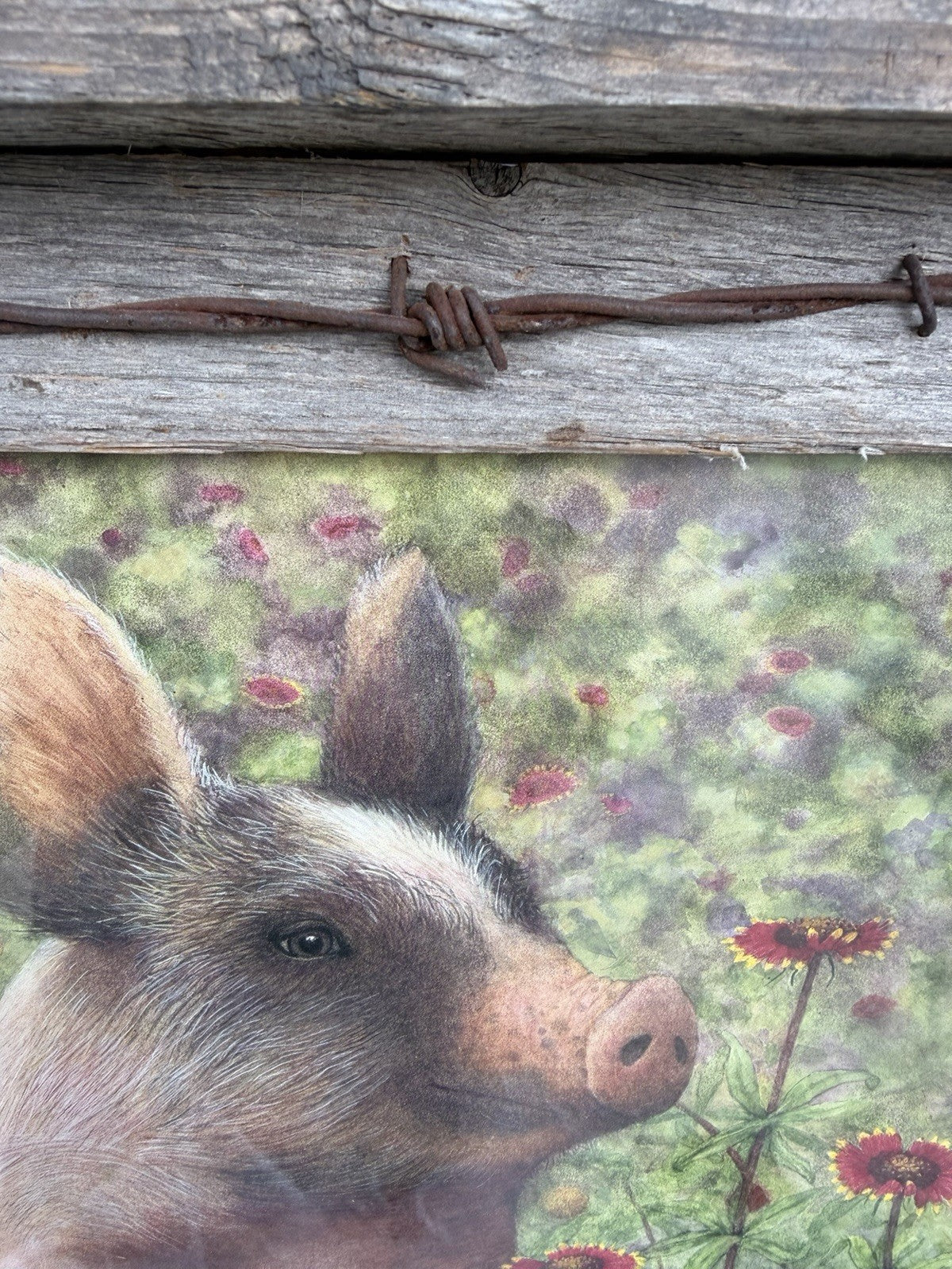 Country Pig Print Rustic Barbed Wire Wood Frame Farmhouse Barn Farm Wall Decor