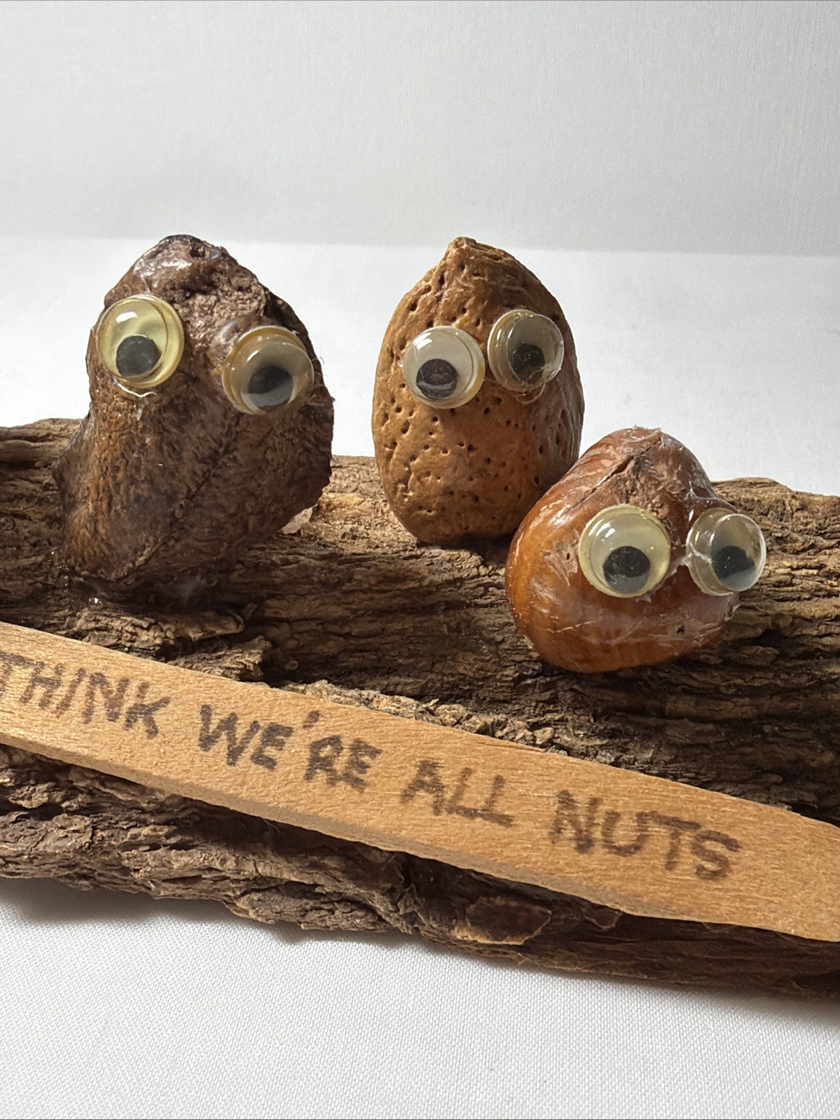 Vintage We Are All Nuts Walnut Desk Figurine Googly Eyes 1970s