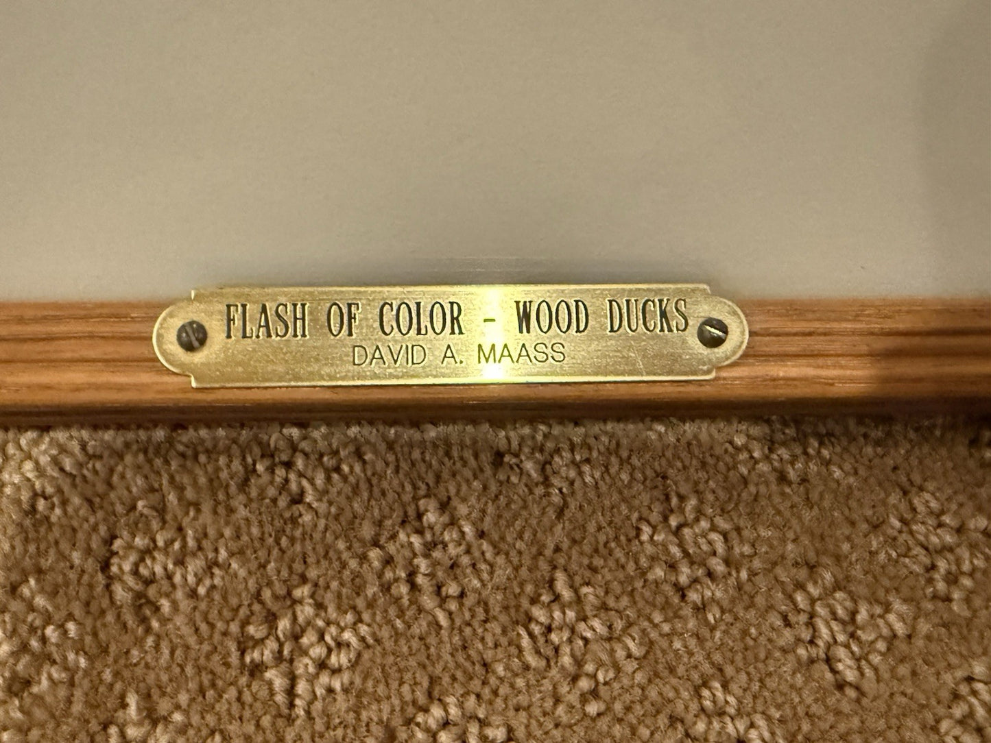 Flash Of Color Wood Ducks David A Mass Signed Authentic Wild Wings Collection