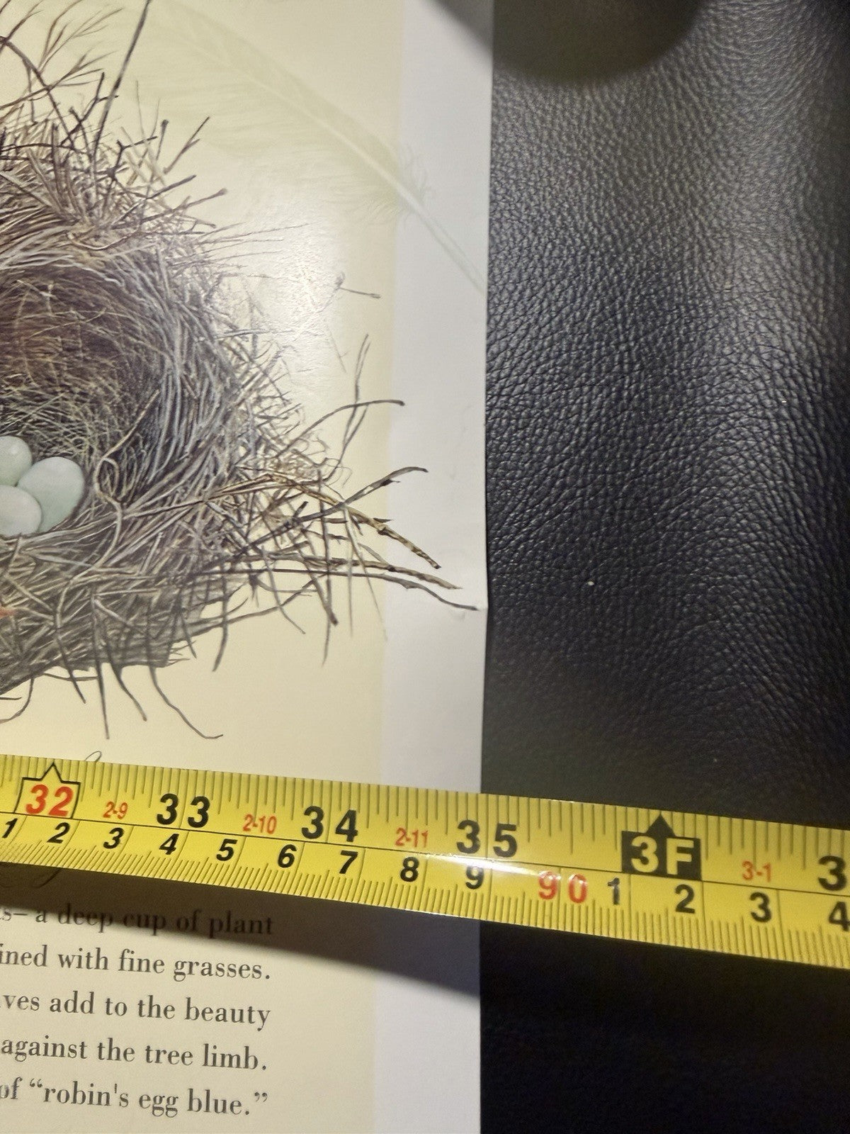 Vintage 1994 Maryjo Koch Nature Company Bird Nests Eggs Illustration Poster Art