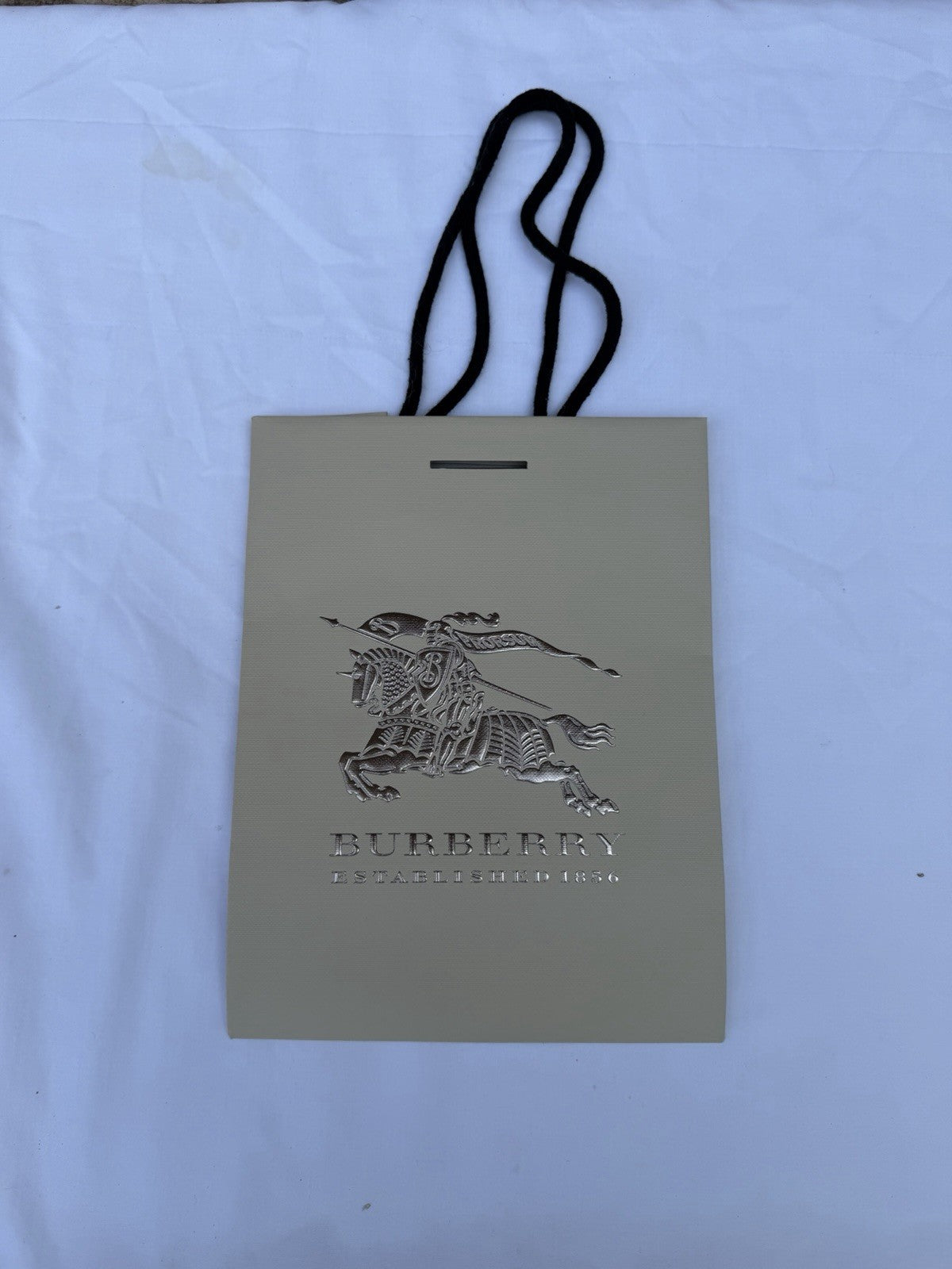 Luxury Designer Shopping Bag Dust Bag Lot Gucci Burberry Tiffany Coach 15 Pcs