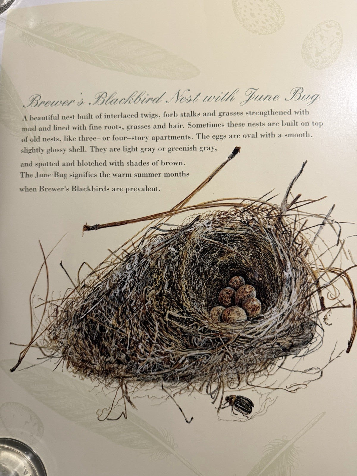 Vintage 1994 Maryjo Koch Nature Company Bird Nests Eggs Illustration Poster Art