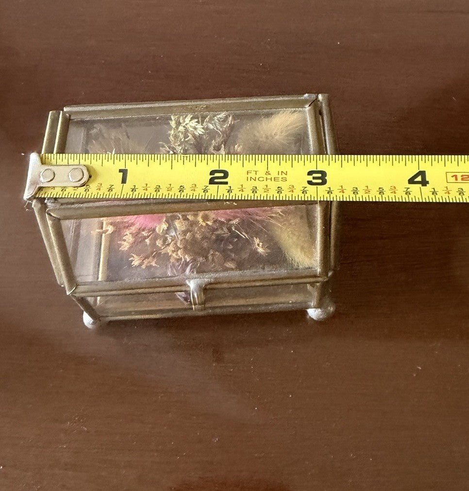 Vintage Brass Glass Display Box Hinged Lid Flower Preserve Trinket Jewelry Case