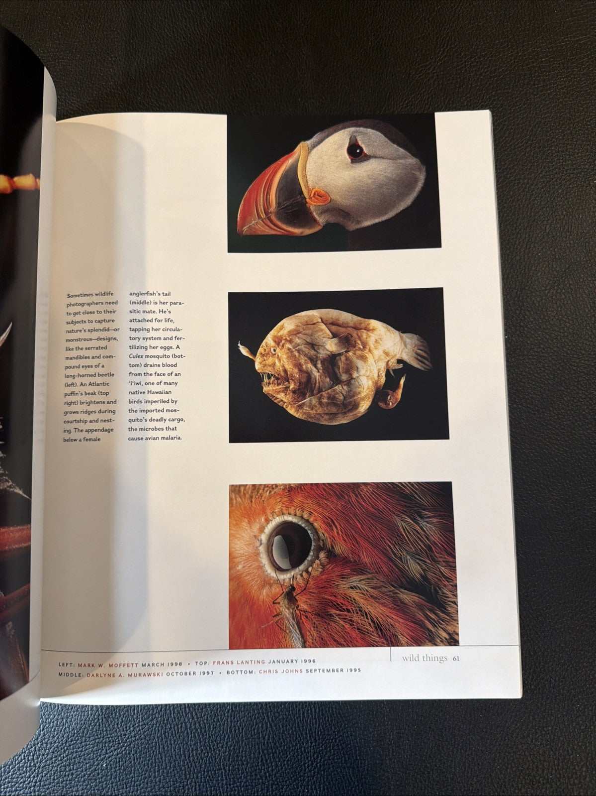 National Geographic 100 Best Pictures Special Members Edition Volume 1 Magazine